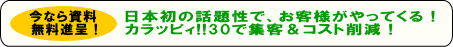 カラッピィ３０で集客＆コスト削減